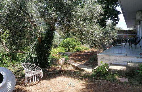 Alexander apartments - Foto 22