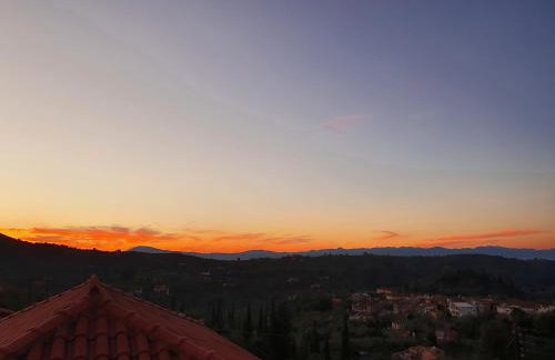 Milionis Manor - Photo 7