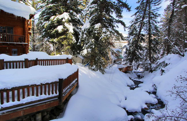 Log Cabin on the Stream - Photo 26