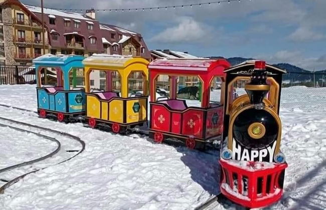 Bakuriani Crystal Loft 406 - Foto 23