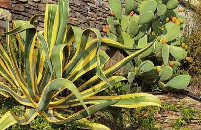 Sole & Lago-Lake - Foto 52