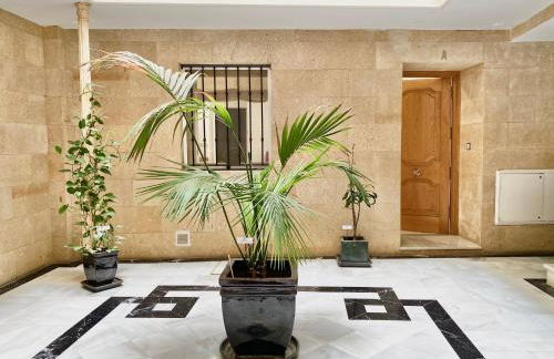 San Francisco 15 - Foto 7