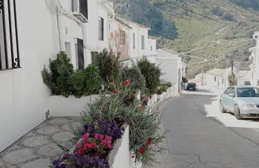 La Casita Tipica - Foto 24