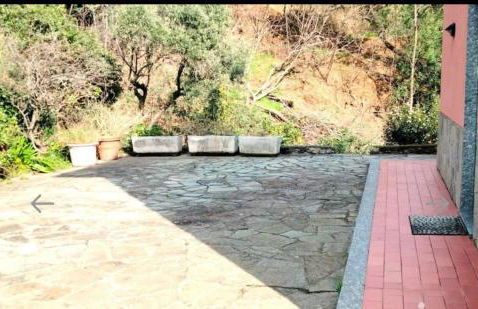 Red Squirrels - Foto 6