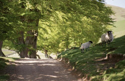 Eastside Byre - Family cottage in the Pentland Hills near Edinburgh - Foto 28