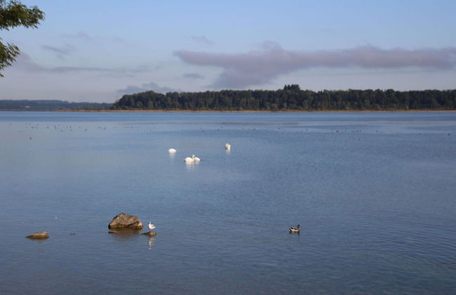 Chalet Alpenzauber mit Beheiztem Pool, Inzell - Photo 29