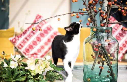 Terre di Cocomo - Foto 22