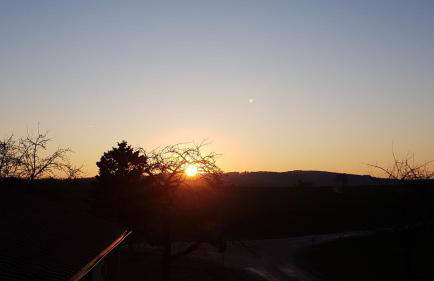 Zettis Ferienhäusle - Foto 13