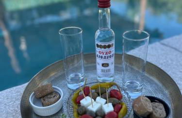 Aithonas Villa - Foto 10