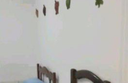 AreiaBranca/casa2 - Foto 27