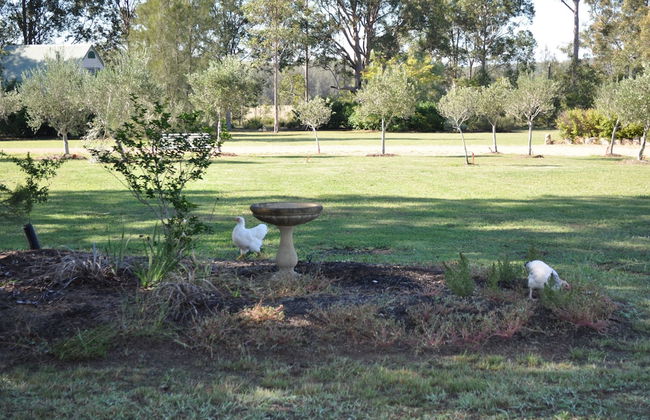 Bracken Ridge Villas - Foto 49