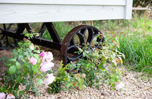 Starlight Shepherd Hut - Foto 13