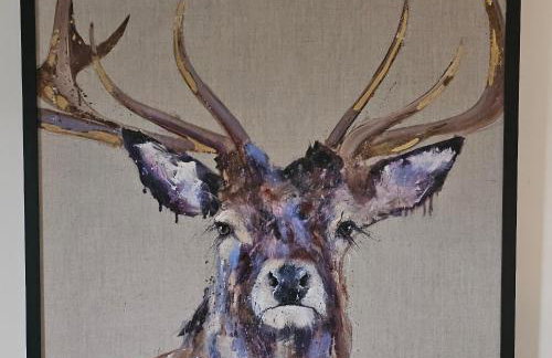 Serviced Apartment - Aberdeen - Foto 17