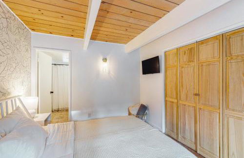 Saint Bernard Beauty - Foto 14