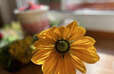 Domek nad Wkrą - Foto 48