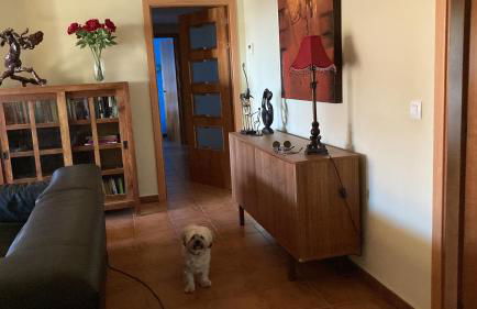 Villa La Parra en el corazón de la Sierra de Gata TR-CC-00464 - Foto 20