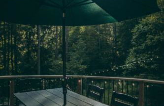 Stunning Catskills Cabin - Photo 24