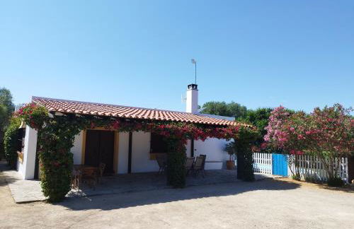 Vivienda Rural Los Madroños - Foto 7