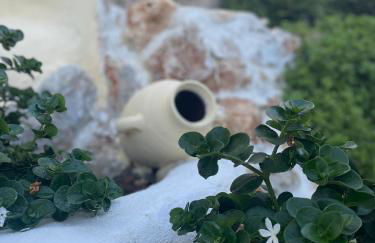 Anetta's House - Foto 32