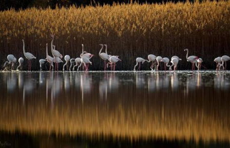 Magical View Studios 2 Asproneri, Kamena Vourla - Photo 65