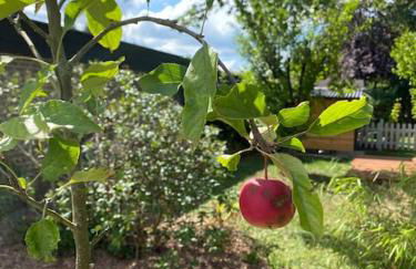 Ferienwohnung Hohes Venn - Foto 19