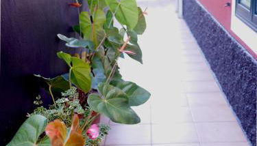 Sea & Mountain View Lombo de Cima House BBQ & Wifi - Foto 5