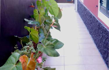 Sea & Mountain View Lombo de Cima House BBQ & Wifi - Foto 5