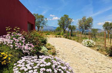 Quinta dos Padrinhos - Suites in the Heart of the Douro - Foto 12