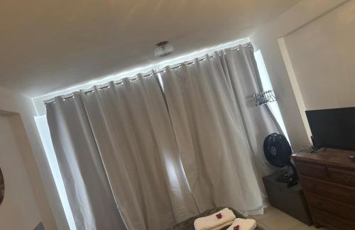 Apes Raizes Douradas - Foto 60