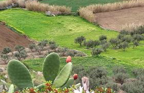 Summer hοuse - Foto 60