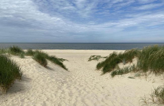 Peaceful Retreat Near Zeeland Beach - Photo 26