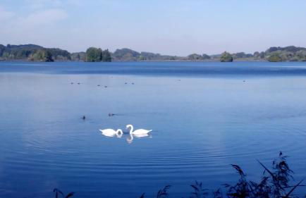 Ferienwohnung Elisabeth - Foto 28