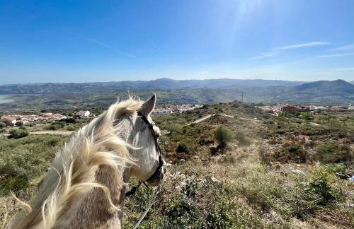 La Cuadra de Finca Don Carmelo - Foto 34