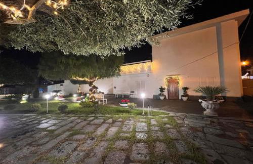 Home Olympus Vesuvio - Photo 60