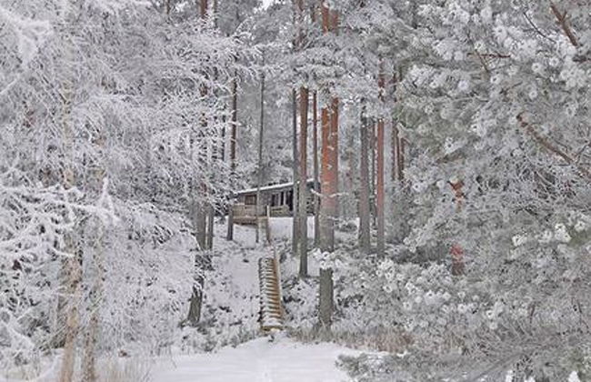 Näätämö - Foto 4