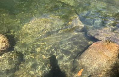 Chales Encanto do sol - Foto 7