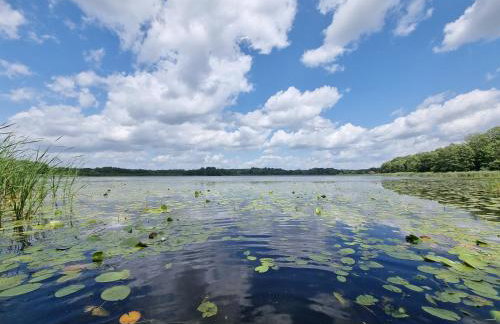 Wilczy Zew Private Spa & Nature - Foto 39