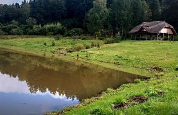 Domek Regionalny- bliźniak - Foto 41