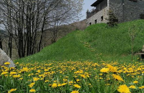 Els Pins d'Abella - Foto 29