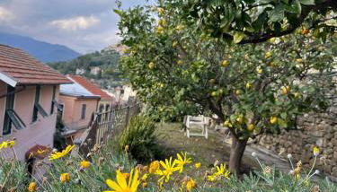 Piera's House - Photo 1, Garden