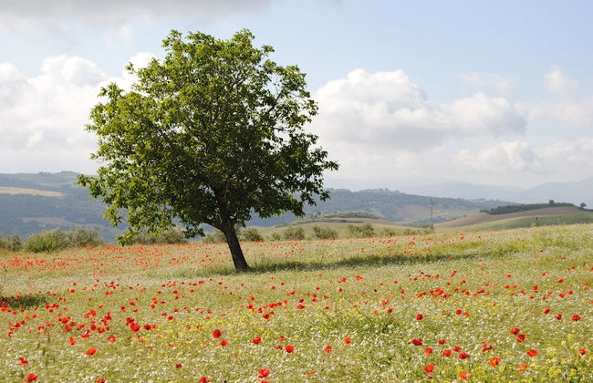 La Escuela del Campo - Photo 44