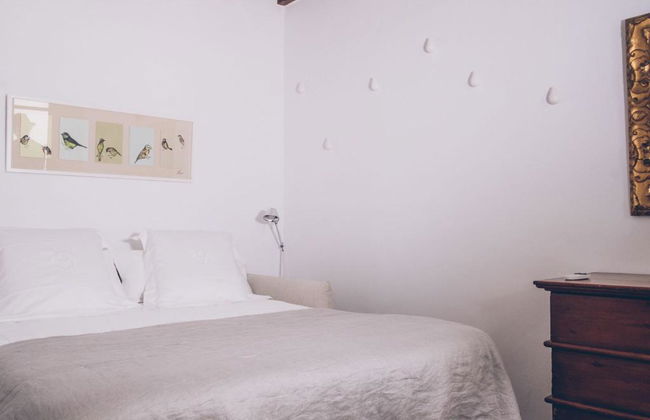 Canavall - Photo 136