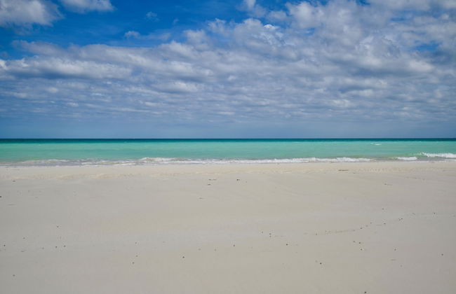 Nathan's Lodge - Photo 31