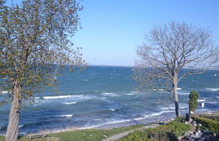 Strandappartements Steinberghaff "Kegnæs" mit Meerblick und Sauna - Foto 33