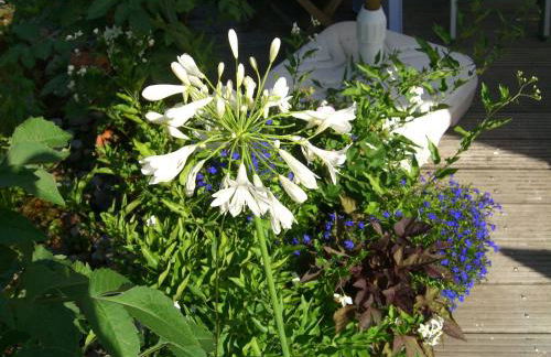 Holiday Home Gemütliches Ferienhaus in Fischbach Rhön by Interhome - Foto 13