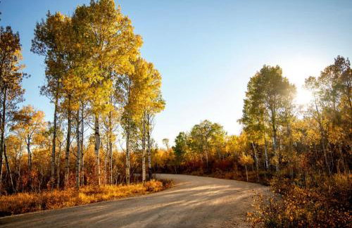 East Cabin- Yellowstone Family Retreat- Sled Hill - Foto 48