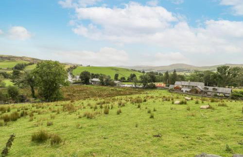 Plas Arenig - Foto 25