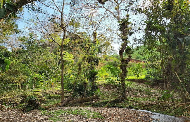 Jaco-carara 3 Bdrm Surrounded by Rainforest With Private Pool - Foto 43