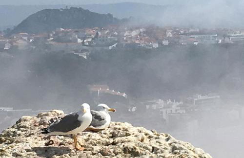 Sitio Ocean Views - Foto 55