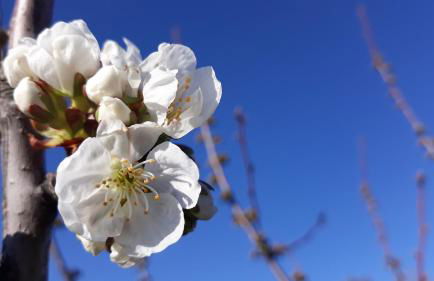 Cabañas Imagina - Foto 10